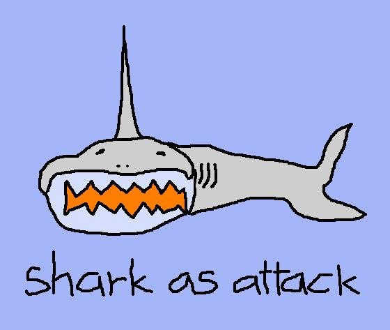 shark as attack