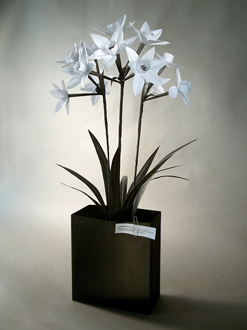 Benjamin Kress Narcissus paper sculpture 2-UP
