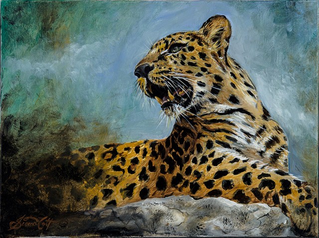 amure leopard