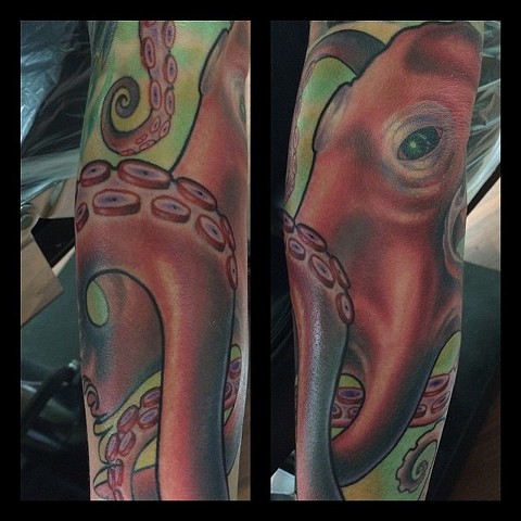 Octopus from an underwater sleeve