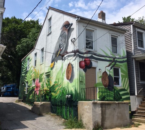 Behemoth
Annapolis, MD (no longer extant)
video: Street Art Films