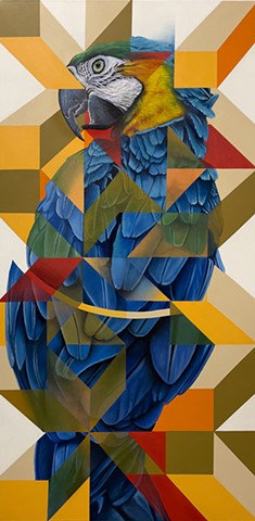 Reject (Macaw)