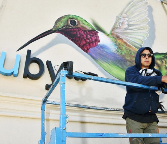 Ruby-throated Hummingbird
Ruby Salon
Annapolis, MD
video: Street Art Films