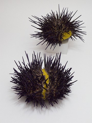 Sea Urchin Bed detail 3