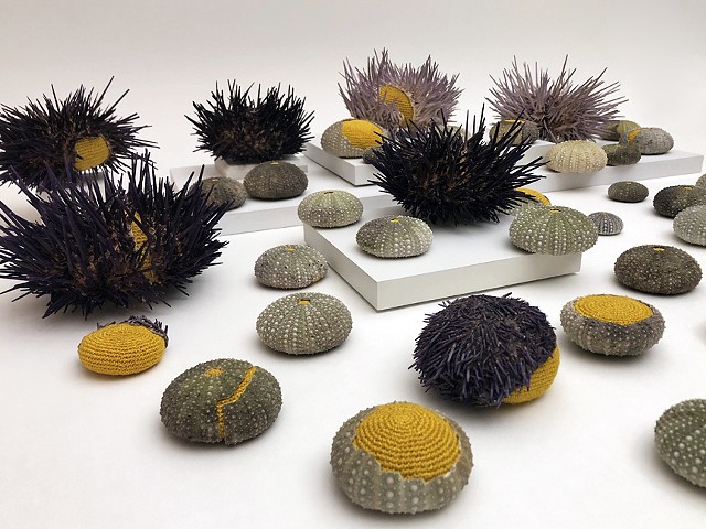 Sea Urchin Bed sideview 1 