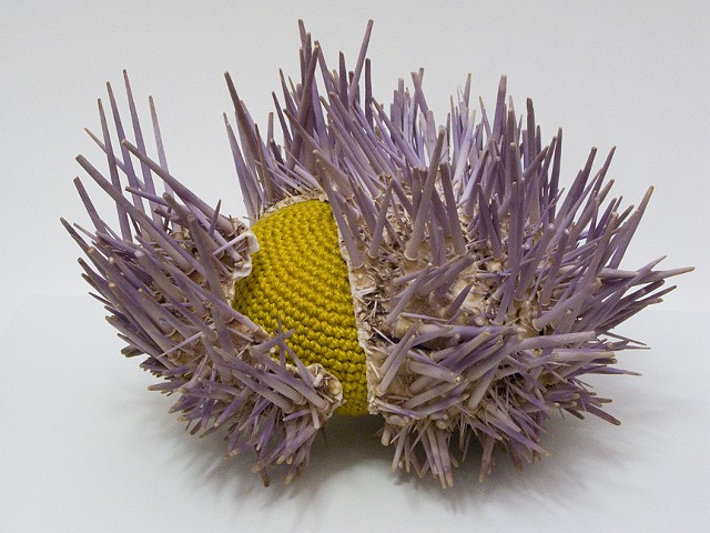 Sea Urchin Bed detail 2