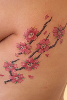 Nina's Cherry Blossoms