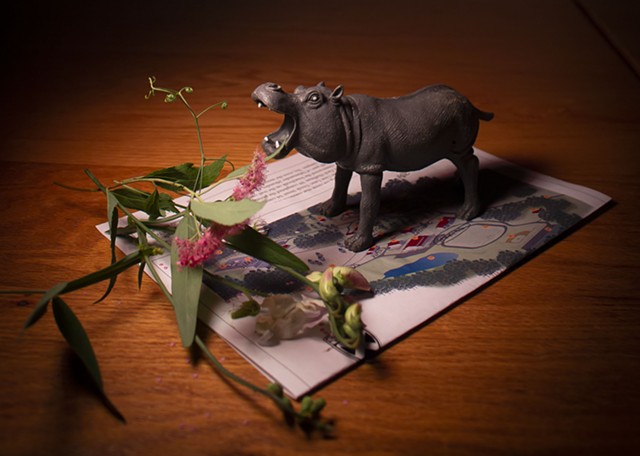 Hippo in Sewanne Still Life