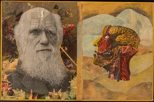Darwin's Muse