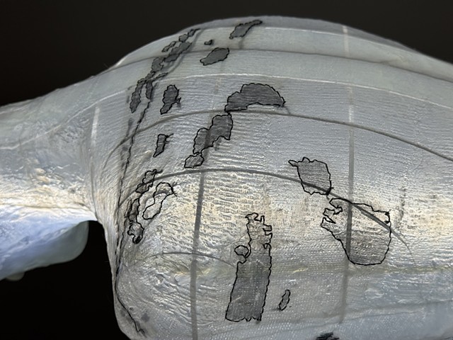 We are Traveling by Train Detail