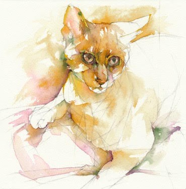 Tabby Cat Study #1: Felis catus