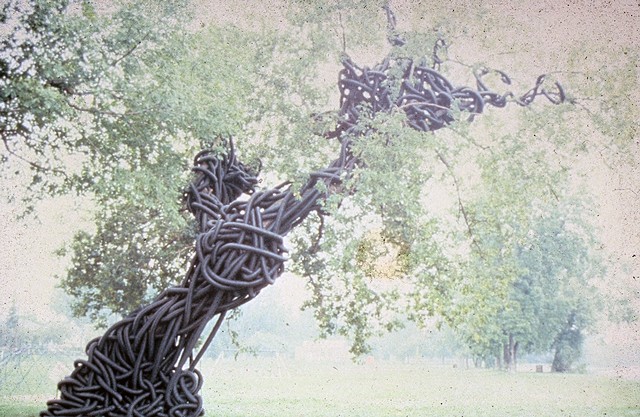 Untitled(Gallery 101, Ottawa, Ontario)