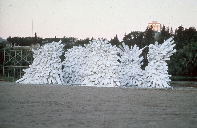 Untitled(Saskatoon, Saskatchewan installation)