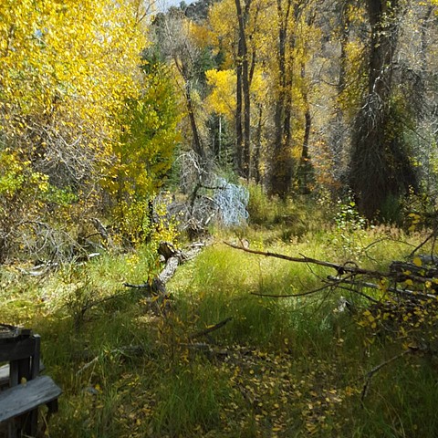 Untitled(Bush Creek Residency project in Wyoming)