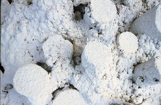 Untitled(Detail of Saskatoon, Saskatchewan Installation)