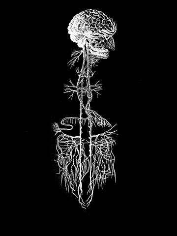 Vagus Nerve Ink Diagram in Black