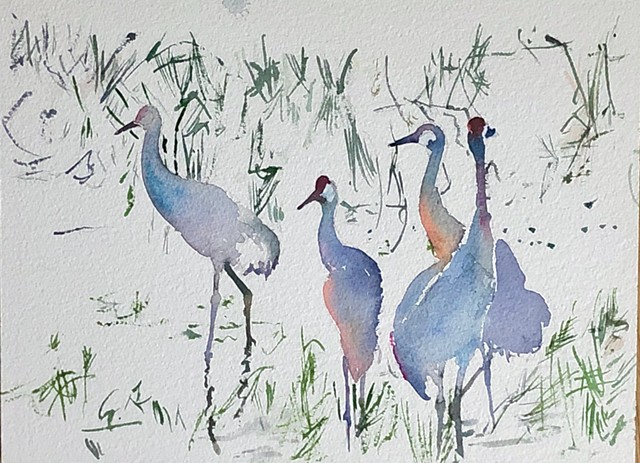 Cranes, Grass
