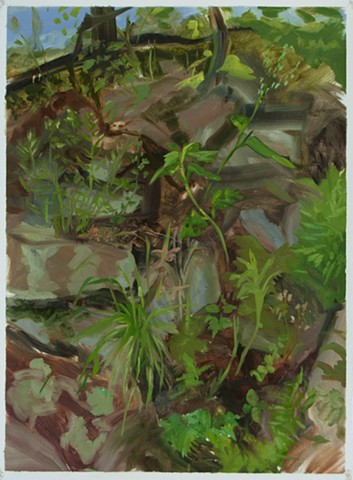 forest floor ozarks contemporary painting