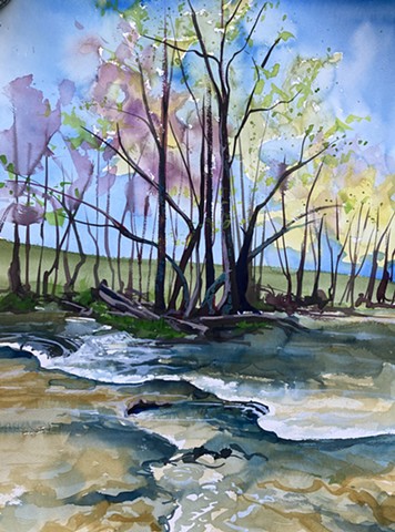 Limestone Creek in the Spring