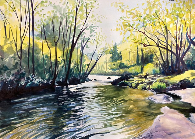 Laurel Creek and Sunshine