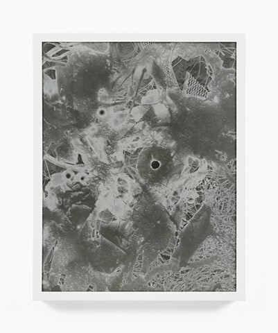 Untitled from series Stagger When Seeing Visions