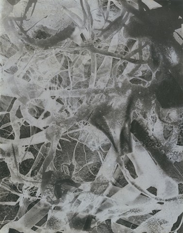 Untitled from series Stagger When Seeing Visions