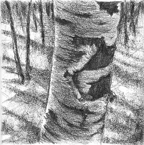 Pastel landscape birch tree