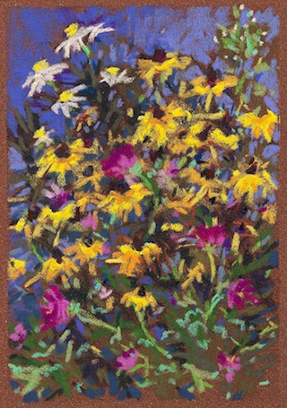 Black Eyed Susans with Pink