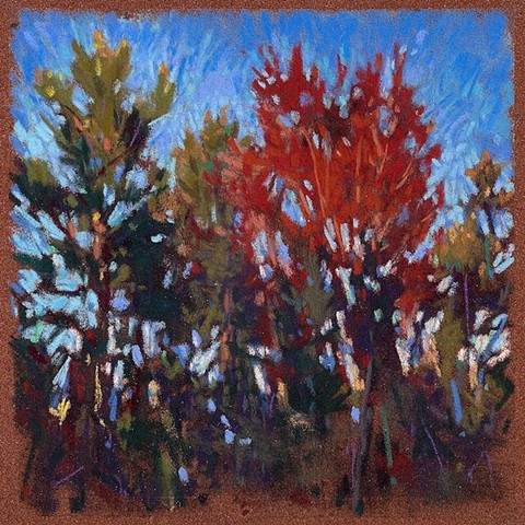 Trees and Blue Sky_6x6"