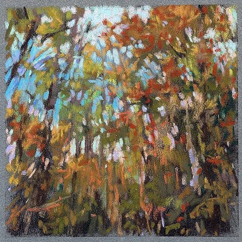 In the Woods (on Blue)_5x5