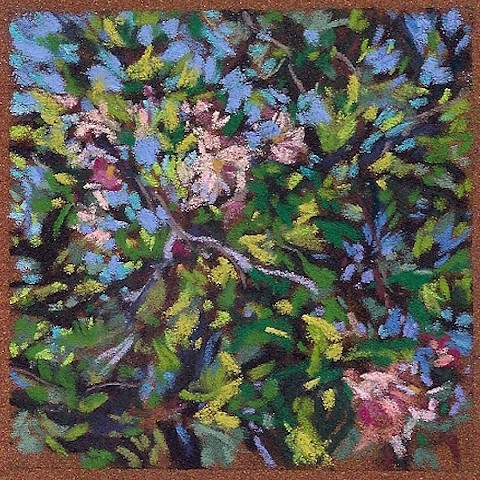 Blossoming 3x3" (Sold)