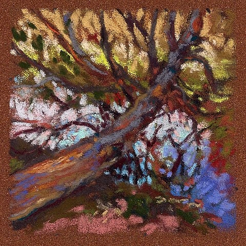 Uprooted Spruce 3.5x3.5" (SOLD)