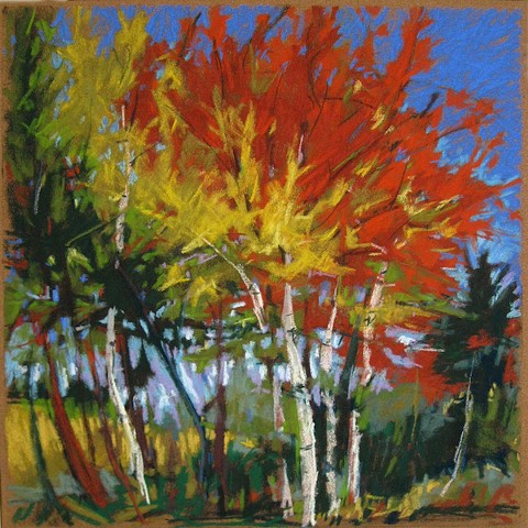 vibrant autumn trees pastel Maine Landscape fall