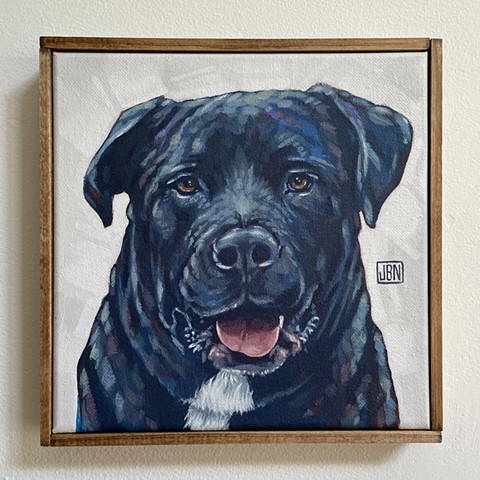 Beau