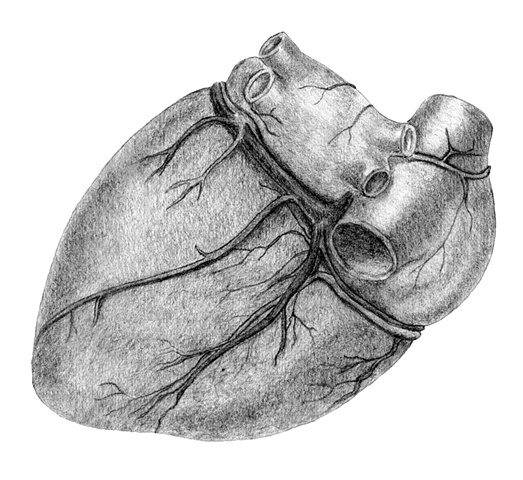 Medical Illustration Fig 4