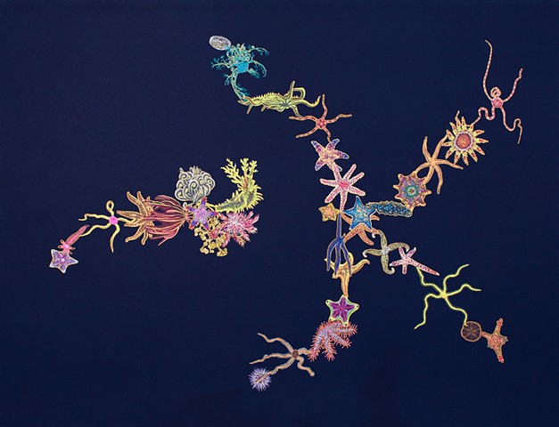 Echinoderms V
