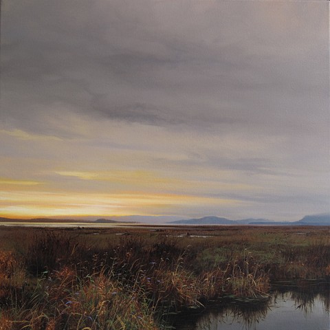 "Tidal Marsh"