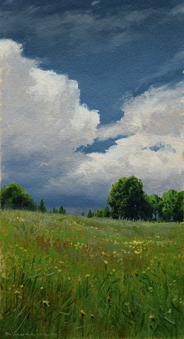 "Fields of May"-Study