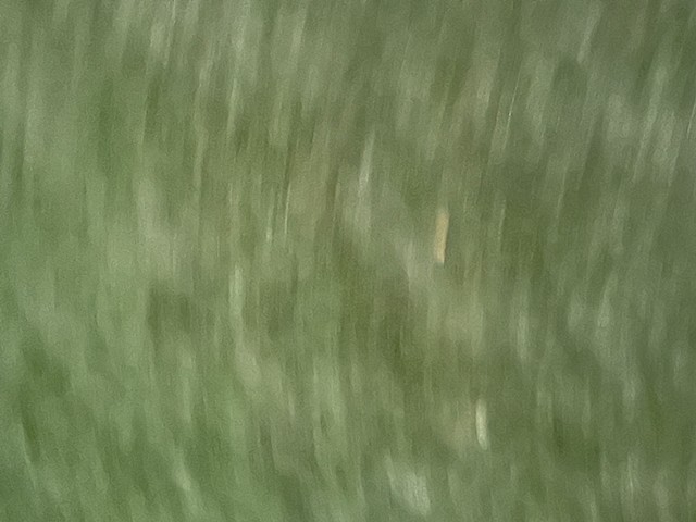 5113