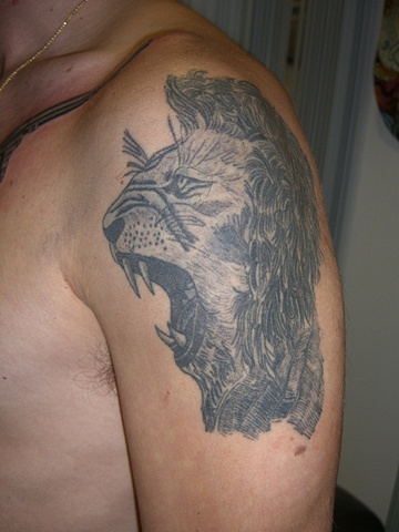 lion etching