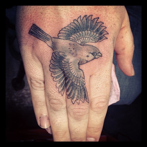 bird on hand