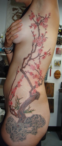 cherry blossom ribs