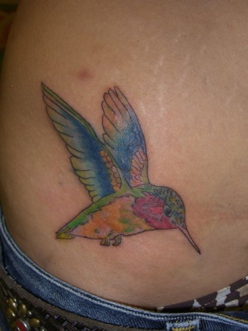 hummingbird after