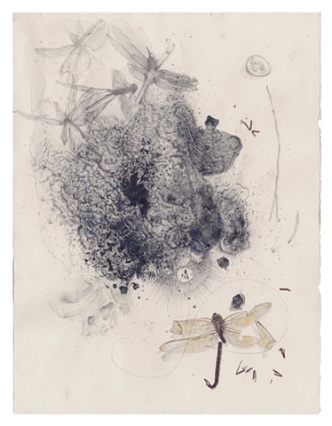 Pulvis et Cinis | Dust and Ashes