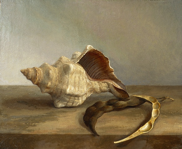 Shell and Seedpods