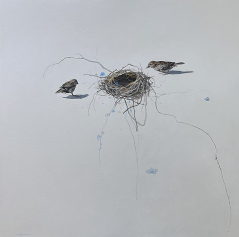 nikol haskova studio