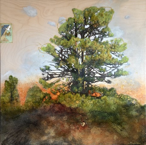 before the stars come out