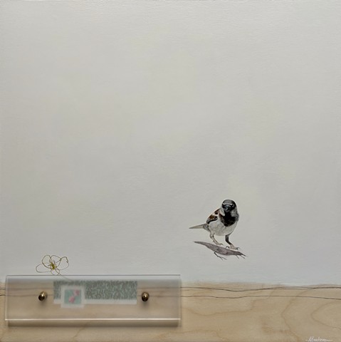 nikol haskova studio