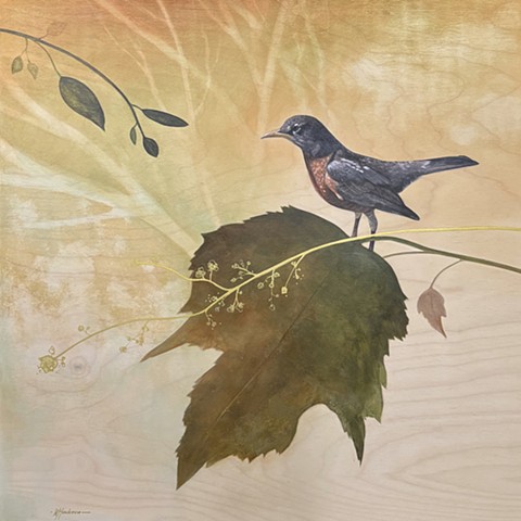 blackberry vine (study 1 for "morning dew")