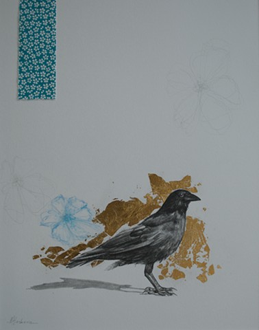 crow sketch